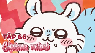 Chiikawa vietsub Tập 66. Usagi và Momonga/ Cơm trắng vô tận