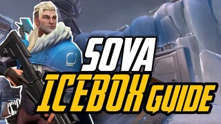 Sova EASY Icebox Guide | Average Jonas