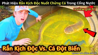 Phát Hiện Sinh Vật Đột Biến Và Rắn Kịch Độc Nuốt Chửng Cá Trong Cống Nước | Review Giải Trí Đời Sống