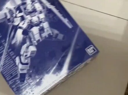 JD万代1999福袋，总算释怀的似了