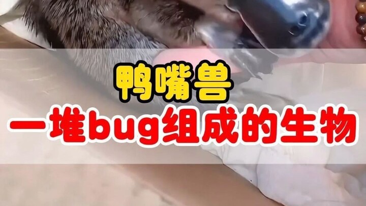 God: Tidying up like this has made the house much cleaner.