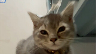 لا أحتاج إلى النظر إلى رمز الاستلام لأعرف أن هذه بضاعتي