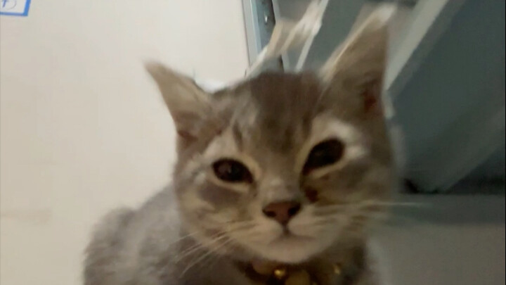 I don't even need to check the pickup code to know this is my package.