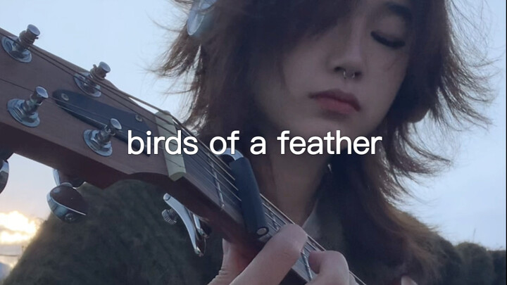 تكرار أغنية "Birds of a Feather" بلا توقف