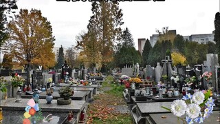 Ketika Saya Bekerja di Toko Bunga