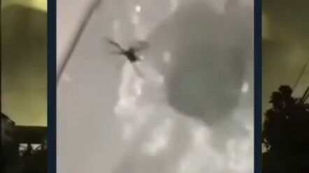 Video ini Jelaskan Kenapa Kamu Harus Siram Toilet Dulu Sebelum Pakai