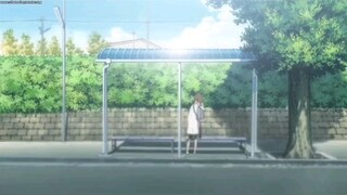 The forest of firefly lights