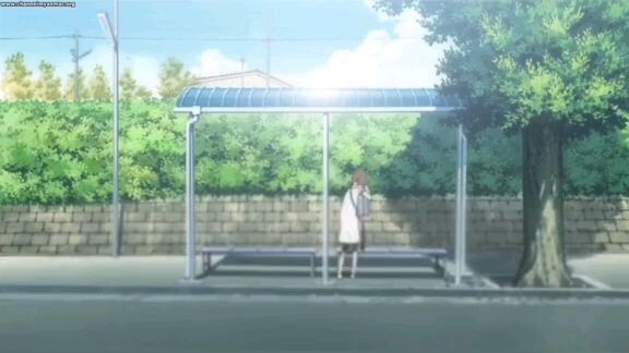 The forest of firefly lights