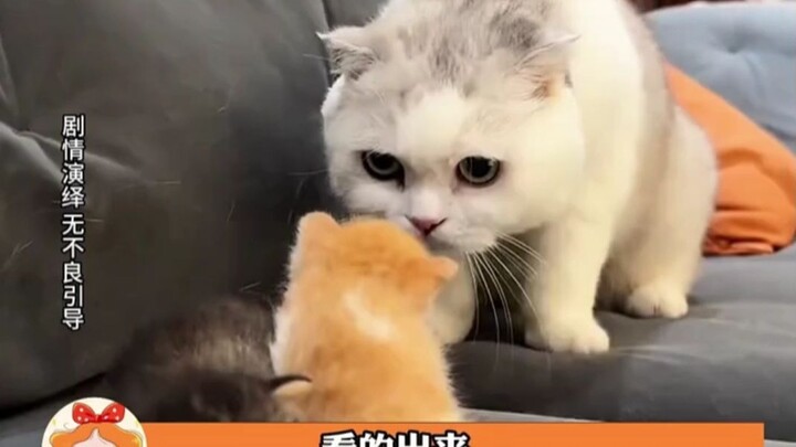 الحسد حقًا يغيّر ملامح المرء تمامًا.