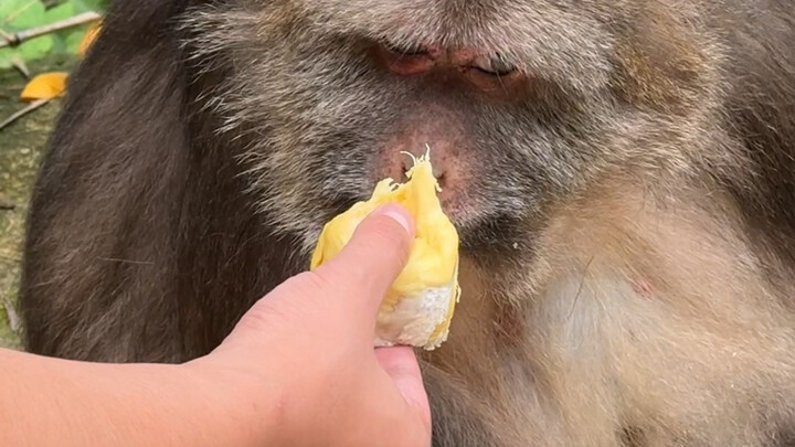 不是哥们？你是遇到什么事了吗？这玩意能吃？你看我的手，我都不要想要了
