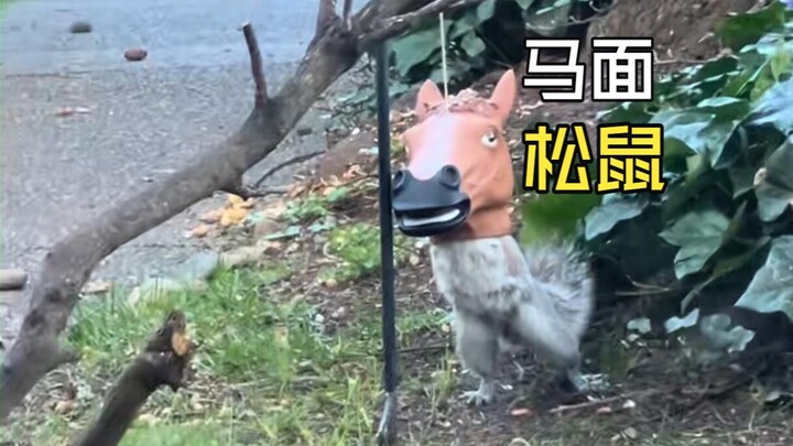 Awkward Moments of Those Animals!