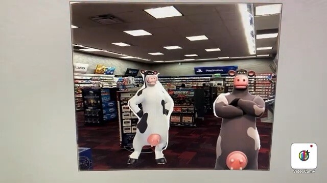 Otis the cow misbehaves at GameStop and gets grounded
