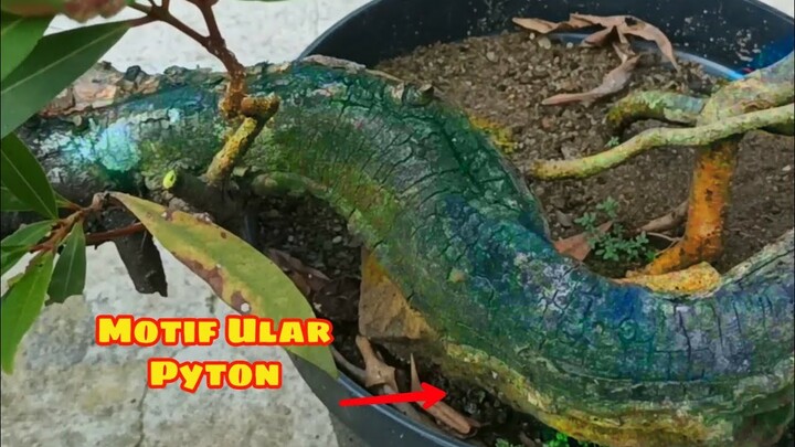 SATU-SATUNYA DI INDONESIA !! BONSAI MOTIF ULAR PYTON