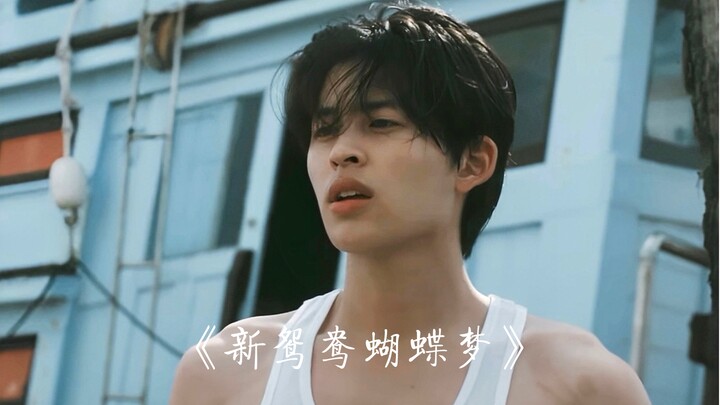 แล้วจะเปิดเพลง “ใหม่หยวนหยางหูตี้เมิ่ง” เหมือนในนิยายจริงๆ เหรอ【ร้องเพื่อคุณคนเดียว｜มิกซ์เพลงเก่า】