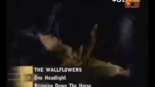 The Wallflowers - One Headlight (MV)