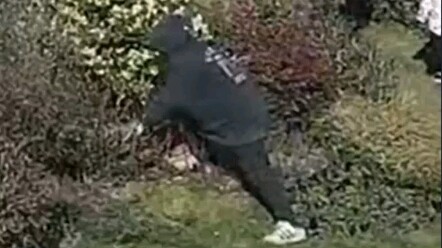 每天都要长见识(2022.02.09)