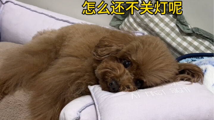 Berpura-pura lupa mematikan lampu sebelum tidur…