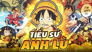 ONE PIECE | LUFFY MŨ RƠM - TƯƠNG LAI LÀM VUA HẢI TẶC, NHƯNG KHÔNG RA DÁNG VUA HẢI TẶC CHO LẮM