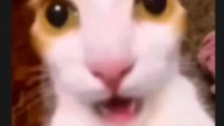 这么痛的吗∑(;°Д°)