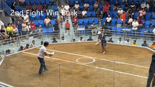 6 Stag Derby Finals CHAMPION