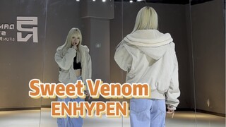 【PP】ENHYPEN-Sweet Venom | 跳完满脑子都是yiyiyiyi~