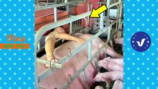 BAD DAY Better Watch This 😂 Best Funny & Fails Of The Year 2023 Part 33