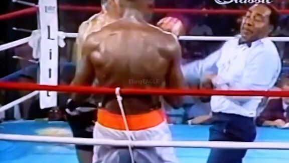 #miketyson