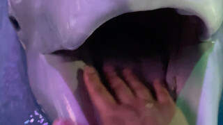 Let's take a look at how Xiao Hei swallows food.