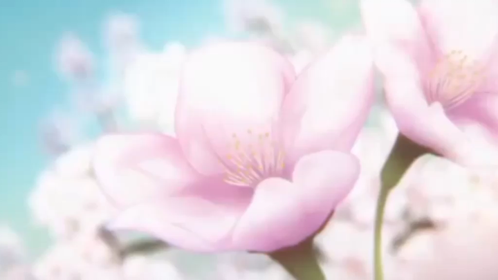 #SchoolTime#SchoolTime#SchoolTime#SchoolTime#SchoolTime#SchoolTime#SchoolTime#SchoolTime