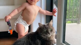 猫咪和小铲屎官之间，一段从娘胎开始培养的感情...