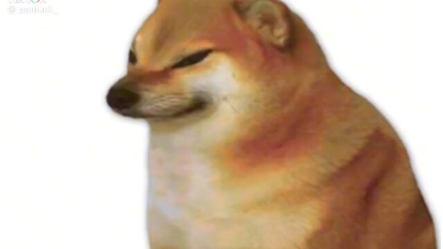 .;-; mn có thể trả lời dc k?