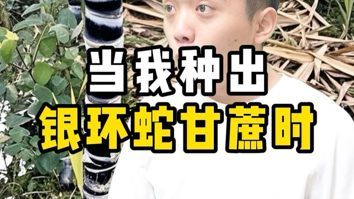 [Your Ex] Creator is exploring—welcome to the channel, please like, share, and subscribe!