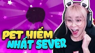 Play Together | Misthy ẵm pet hiếm nhất server? Bí kíp nhận 20 kim cương, vượt đường trượt băng #41