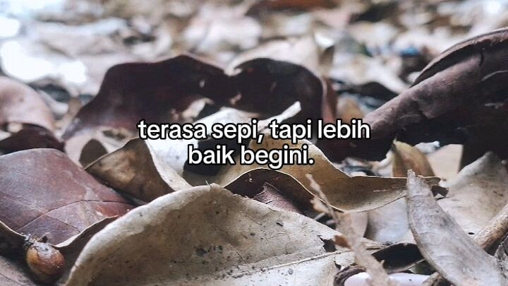 wujud asli jokowi