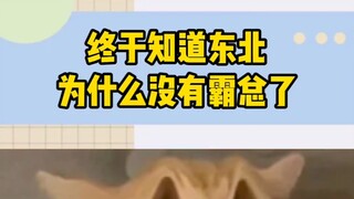 There’s a good reason why Northeast China doesn’t have any overbearing bosses—whose CEO would drive 