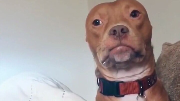 Nếu tôi có được một nửa sự tự tin của người ta, thì cũng chẳng đến nỗi độc thân.