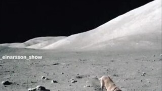 I am dying of laughter. NSAS secrets leaked that dogs are digging holes on the moon. There is no suc