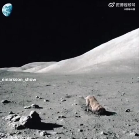 I am dying of laughter. NSAS secrets leaked that dogs are digging holes on the moon. There is no suc