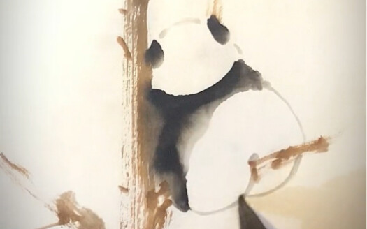 What a coincidence, I drew another panda.