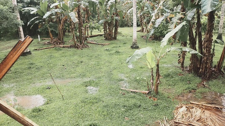 buhay probinsya