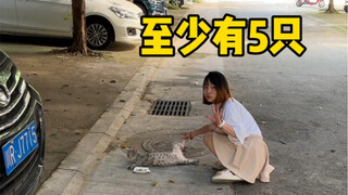 لا تخفِ شيئًا، سأعرف فورًا إن كنت قد أنجبت أم لا.