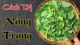 Cách đơn giản nhất và nhanh nhất chữa nóng trong người bằng 1 nắm rau ngót