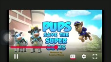 paw patrol Musim 11 Episode 5B Bahasa indonesia