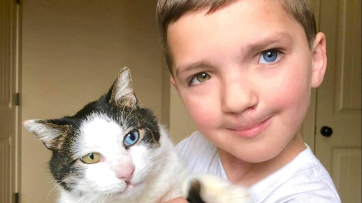 美国7岁男孩因为异瞳和兔唇受霸凌 他收养了异瞳兔唇猫咪 成为心灵伴侣
