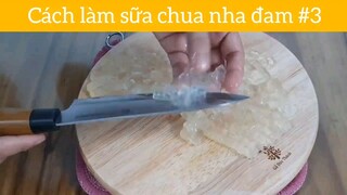 Cách làm sữa chua nha đam p3