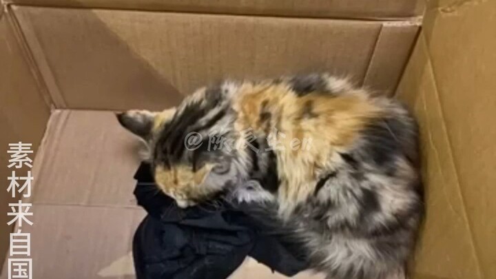 “Sampai di sini, sudah menjadi seni”