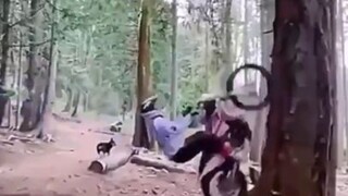 ขับรถขึ้นต้นไม้หรือ ฮาทุกฉาก ขำไม่ไหว！EP.26#Funny