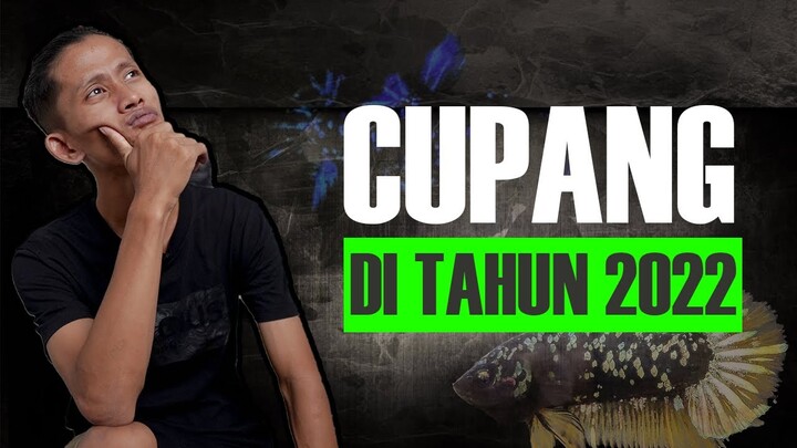 5 JENIS CUPANG DI 2022 TANPA RGG!