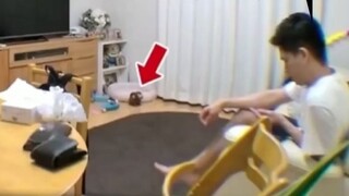 Japanese lolita laughed so hard watching the prank "What would happen if the doll at home suddenly m