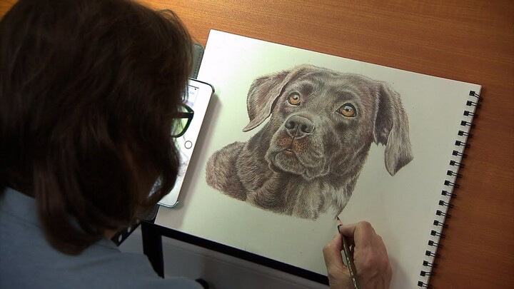 Furry Friends Immortalized: Animal Art by Brenda